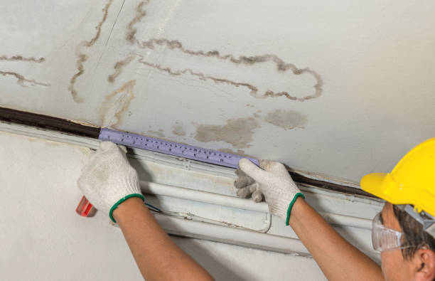 Reliable Water Damage contractor in Lecompton, KS by Water Damage Irwin